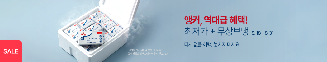 8월 18일 - 8월 31일 앵커